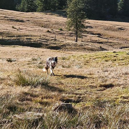 Kachelofenwohnung Poelzleitner Annaberg im Lammertal Dış mekan fotoğraf
