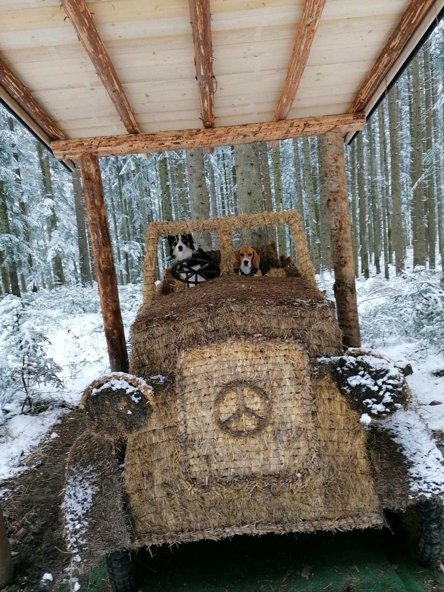 Kachelofenwohnung Poelzleitner Annaberg im Lammertal Dış mekan fotoğraf