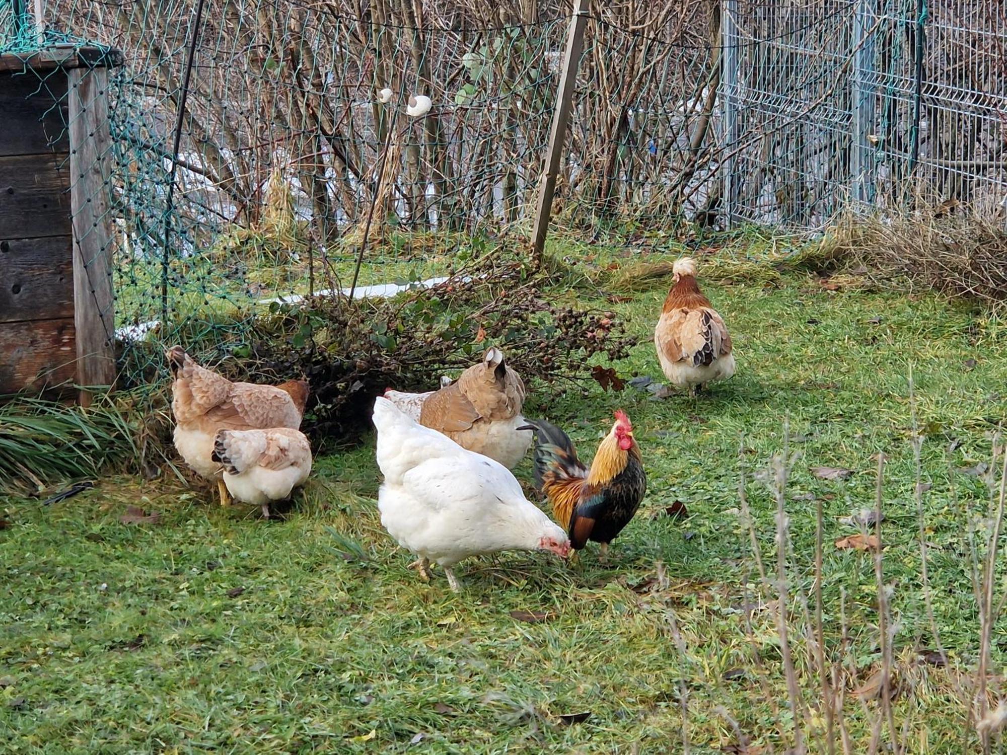 Kachelofenwohnung Poelzleitner Annaberg im Lammertal Dış mekan fotoğraf