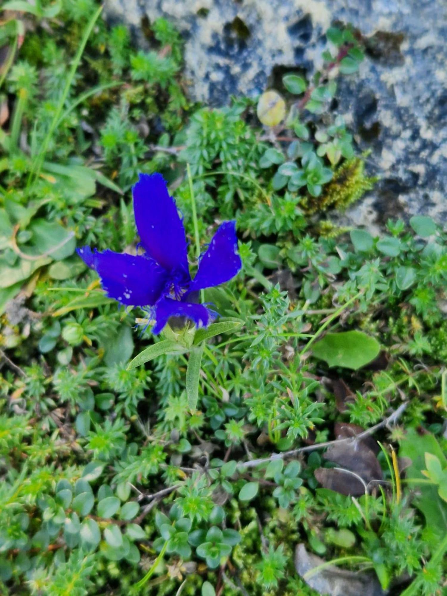 Kachelofenwohnung Poelzleitner Annaberg im Lammertal Dış mekan fotoğraf