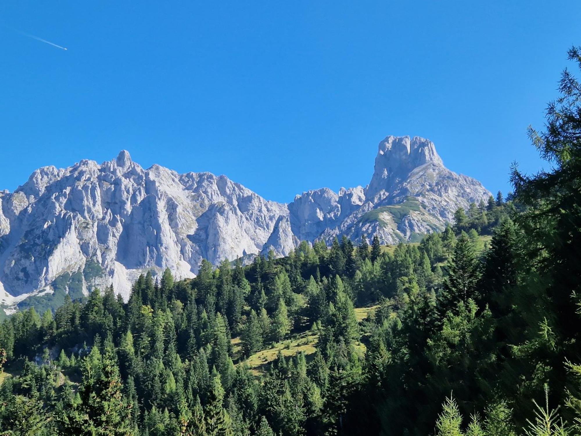 Kachelofenwohnung Poelzleitner Annaberg im Lammertal Dış mekan fotoğraf