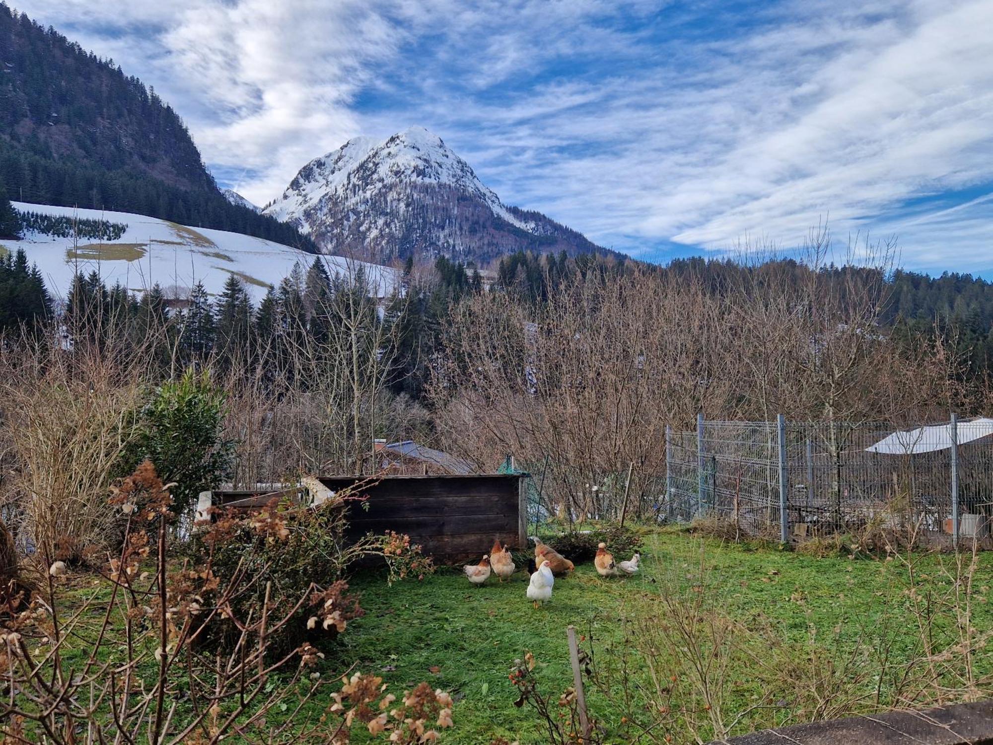 Kachelofenwohnung Poelzleitner Annaberg im Lammertal Dış mekan fotoğraf